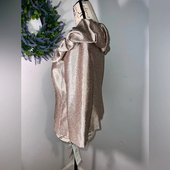 Adriana Papell,6, NWT, champagne sheen puff collar jewel button front 3/4 sleeve - Picture 2 of 10